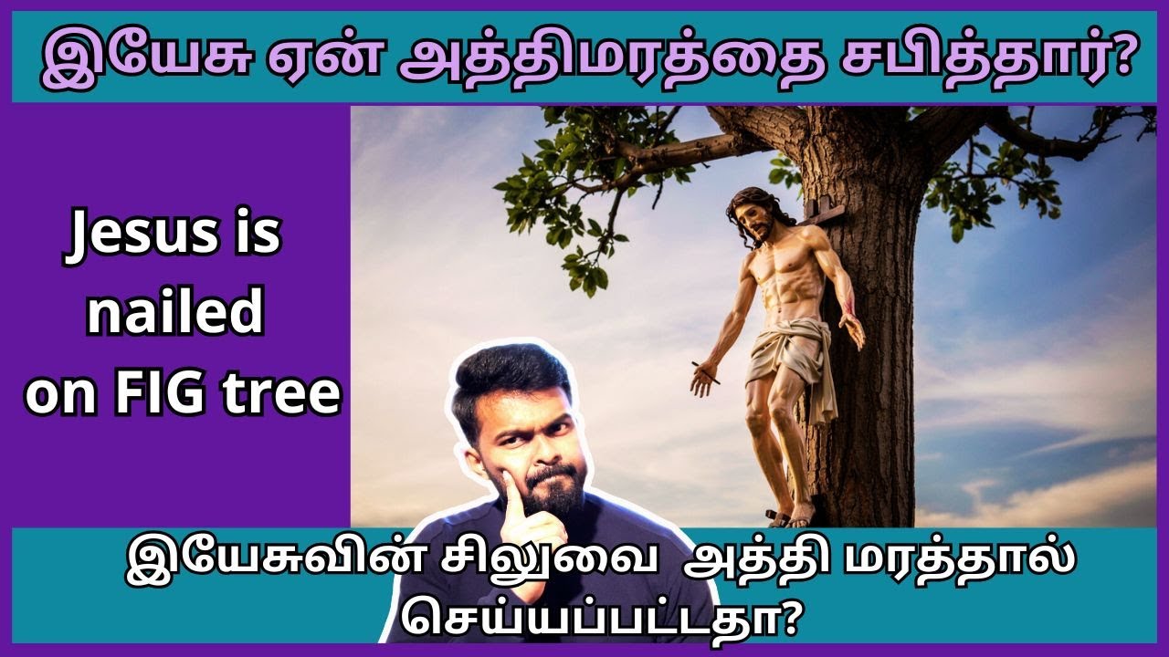 இயேசுவின் சிலுவை அத்தி மரத்தால் செய்யப்பட்டதா?/ இயேசு ஏன் அத்திமரத்தை சபித்தார்?