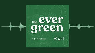 Wherever the salmon can get to | The Evergreen | OPB by Oregon Public Broadcasting 340 views 3 weeks ago 24 minutes