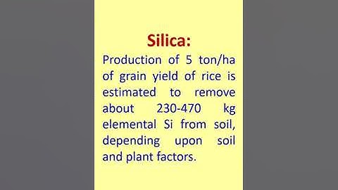 Role of Silicon for Higher  Crop Productivity in Rice -Dr. P.C.Patel