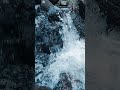 Relaxing Water Stream 💧 | Nature Sounds #Shorts