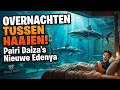 Overnachten Tussen de Haaien? Pairi Daiza Edenya 2026 €XXX per nacht… is dit het waard?