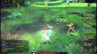 Bug in TERA Online