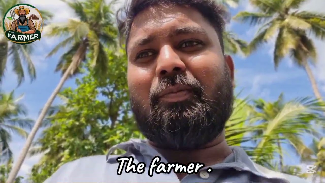 කප්පාදු කරනවා කියලා අවුරුදු 1- 3ත් වයස ගස් මැදින් කපලා මාසගනන් ගෙඩි එනකම් බලන්ඉන්න ඔබටයි මේ විඩියෝව.