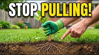 Stop Pulling Weeds — Use This 1-Minute Method Instead