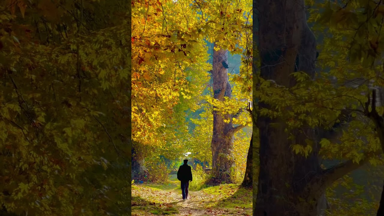 the best poultry social media 