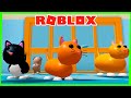 A FUGA DOS ANIMAIS no ROBLOX Pet Escape 2