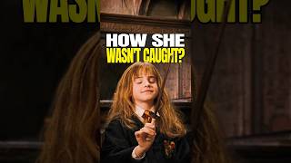 The Biggest Flaw in the Wizarding World’s Laws