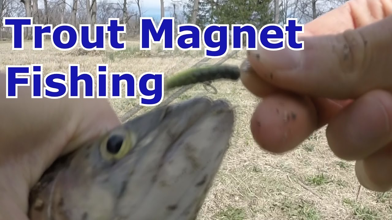 Trout Magnet Lure Fishing - Setup, Catches, and How to 