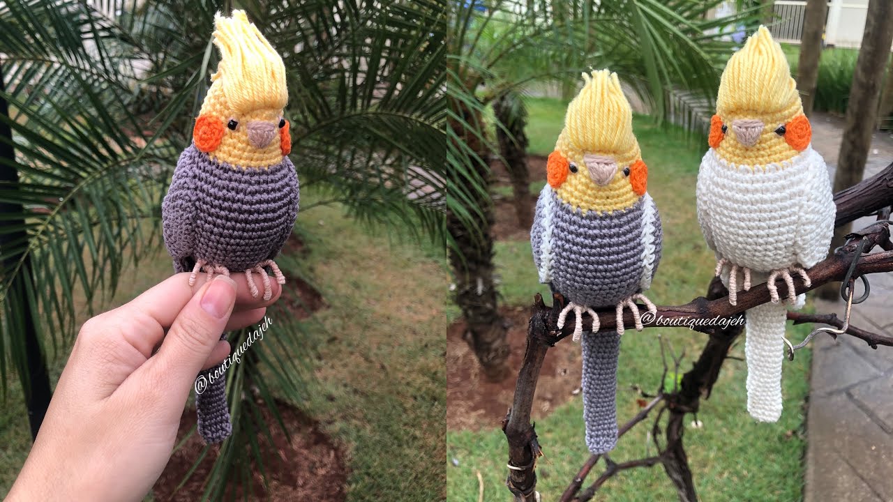 Calopicita em crochê (parte 1)