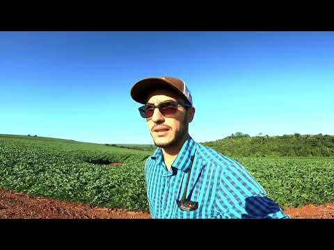 Inicio da terceira aplicação de fungicida!! Vem safra cheia por aíí!!