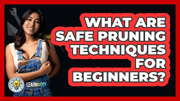 What Are Safe Pruning Techniques For Beginners? - LearnToDIY360.com