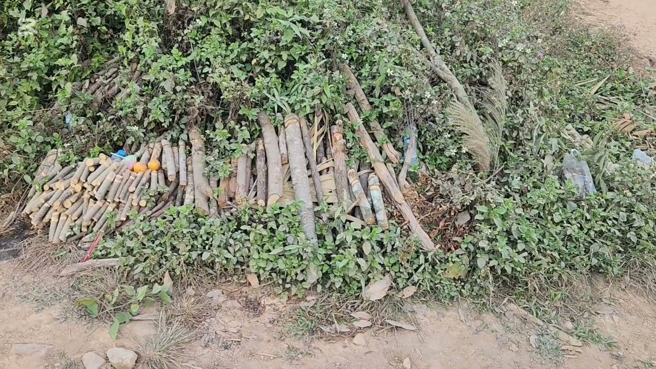 no yg roob txua qau lo txog ntua xb ce siv mu noj mu hau lm o 