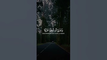 وعسى ان تكرهوا شيئاً وهو خير لكم - القارئ الشيخ مشاري العفاسي