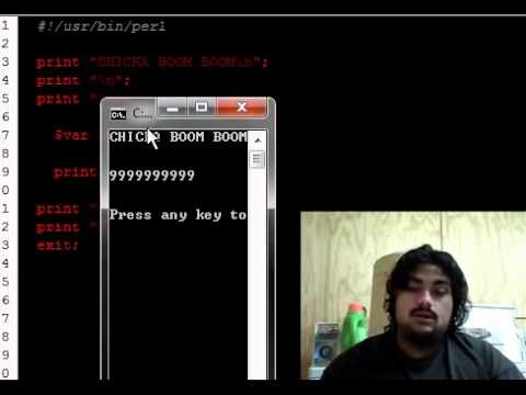 Perl Tutorial #2 : Variables