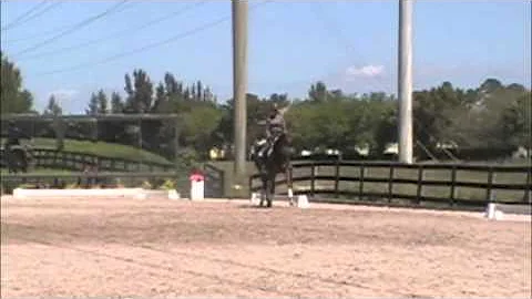 Silva Martin & Folie 'A Duex