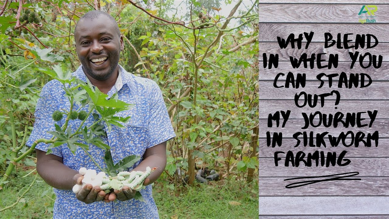 How I have created multiple revenue streams through silkworm farming