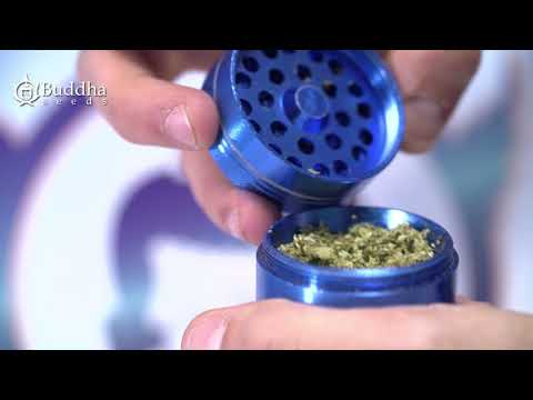 CÓMO LIAR UN PORRO