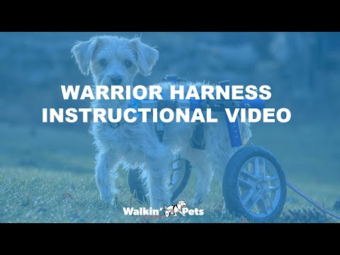 Warrior Harness - Instructional Video
