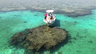 Micro Fishing REEF HOLES is Insane !!