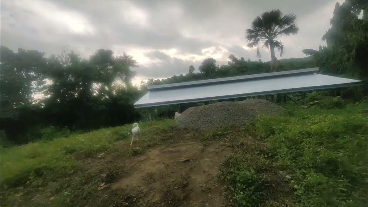 Work continues, piggery walls going up - YouTube