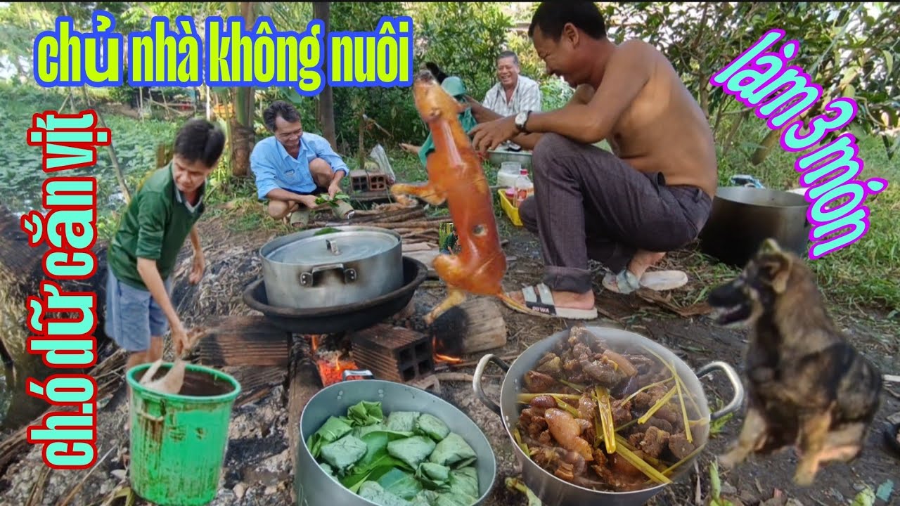 Ch.ó Cắn Vịt bắc đền tiền chủ nhà bán . Làm Cầy Tơ 3 Món, hết nước chấm.....