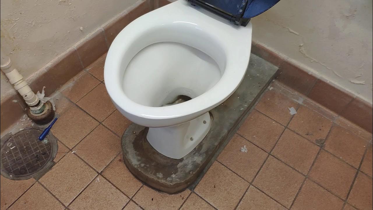Disabled toilet at the Bandstand public toilets on the seafront Eastbourne YouTube