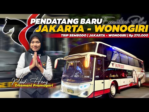 PERSAINGAN JALUR WONOGIRI SEMAKIN MEMANAS‼️ - Trip Report Sembodo 