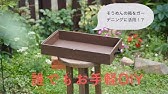 ガーデニングvlog ダイソーの支柱で薔薇のアーチを作る Youtube