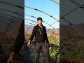 coltivare in #serra sarÃ  presto un obbligo con questo #clima #orto #mattthefarmer