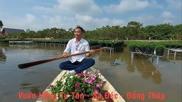 Khu Du Lịch Vườn Hồng Tư Tôn - Sa Đéc - Đồng Tháp | Cậu Út Tháp Mười