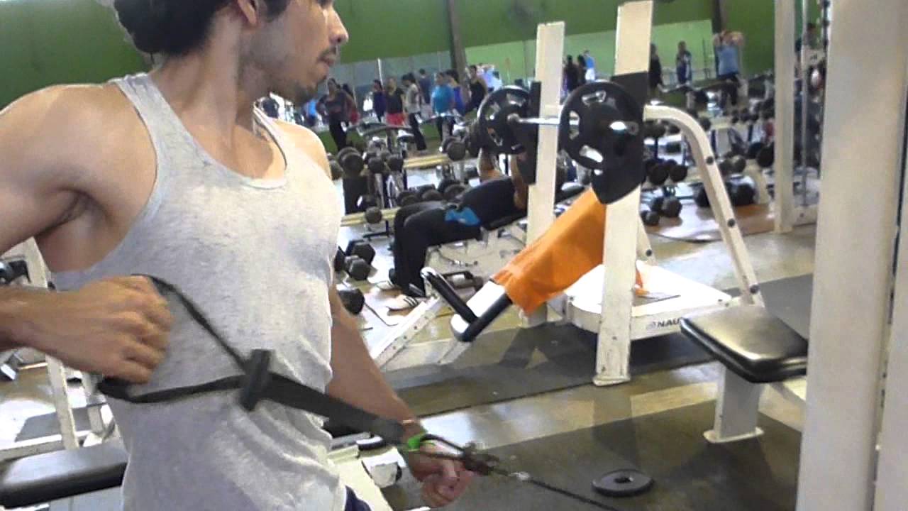 espalda triceps 20 de febrero 2014 gym direct