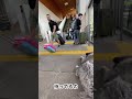 秋田犬長毛カイは高山駅におかあちゃんを迎えに行った