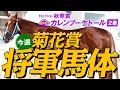 【菊花賞】長距離戦は馬体で決まる！元大手牧場スタッフの評価トップ３！G1フォトパドック 2019【競馬予想】