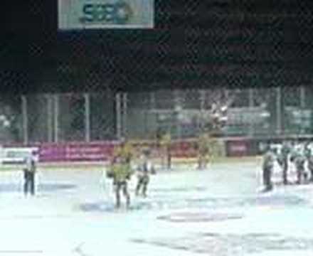 Sheffield steelers VS Nottingham panthers - sutter...