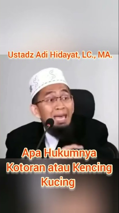 Apa Hukumnya Kotoran atau Kencing Kucing - Ustadz Adi Hidayat