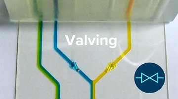 Biochip Subsystems Technologies | Valving