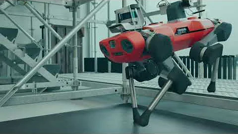 anymal c real time motion planning