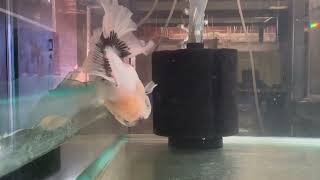 IMG 1059