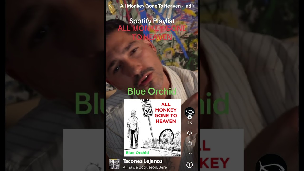 Obejrzyj All Monkey Gone To Heaven - Indie Rock, Alternative **SPOTIFY PLAYLIST** w YouTube Obejrzyj All Monkey Gone To Heaven - Indie Rock, Alternative **SPOTIFY PLAYLIST** w YouTube
