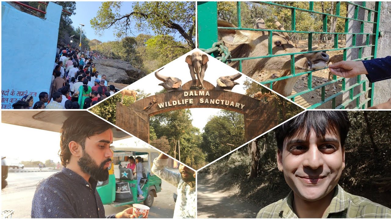 Maha Shivratri ka amazing scene at Dalma Shiv Mandir