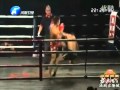 Wu lin feng 2012  tie ying hua sanda vs doug higgins muay thai ko