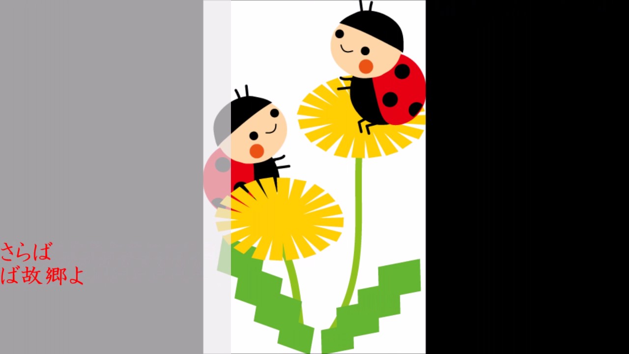 たんぽぽの花