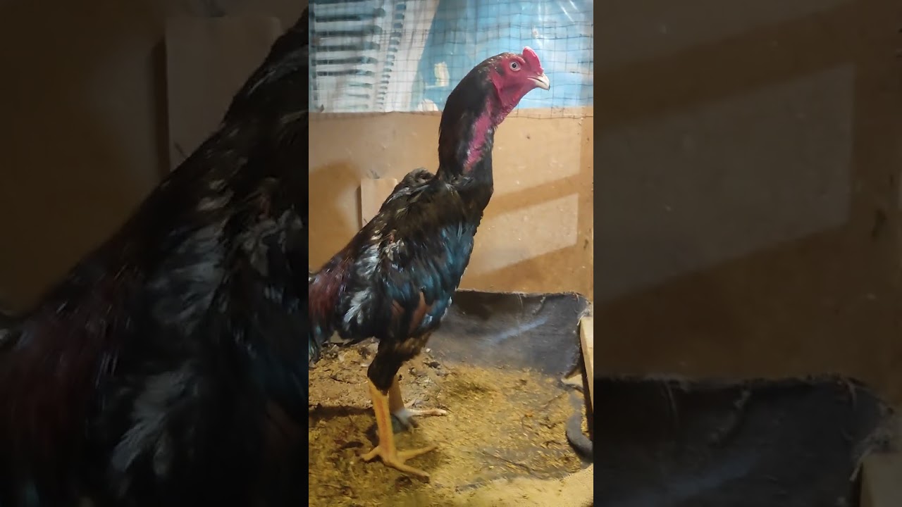 8 марта 2026 г.