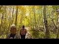 Mammoth lakes fall colors.