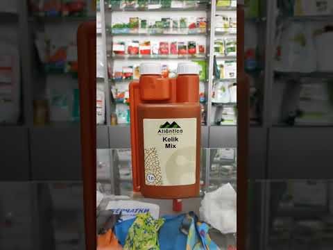 Линейка Райкатов в