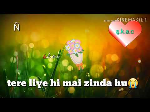 Tere Liye Hi Me Jinda Hu .........status