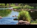 #19 How To Paint Fast Flowing Water