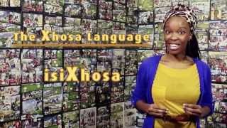 How to pronounce the X Click in Xhosa (like in Black Panther)