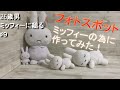 【ミッフィーに縋る】ミッフィーの為にフォトスポット全力で作る！