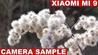 Xiaomi Mi 9 Camera Test